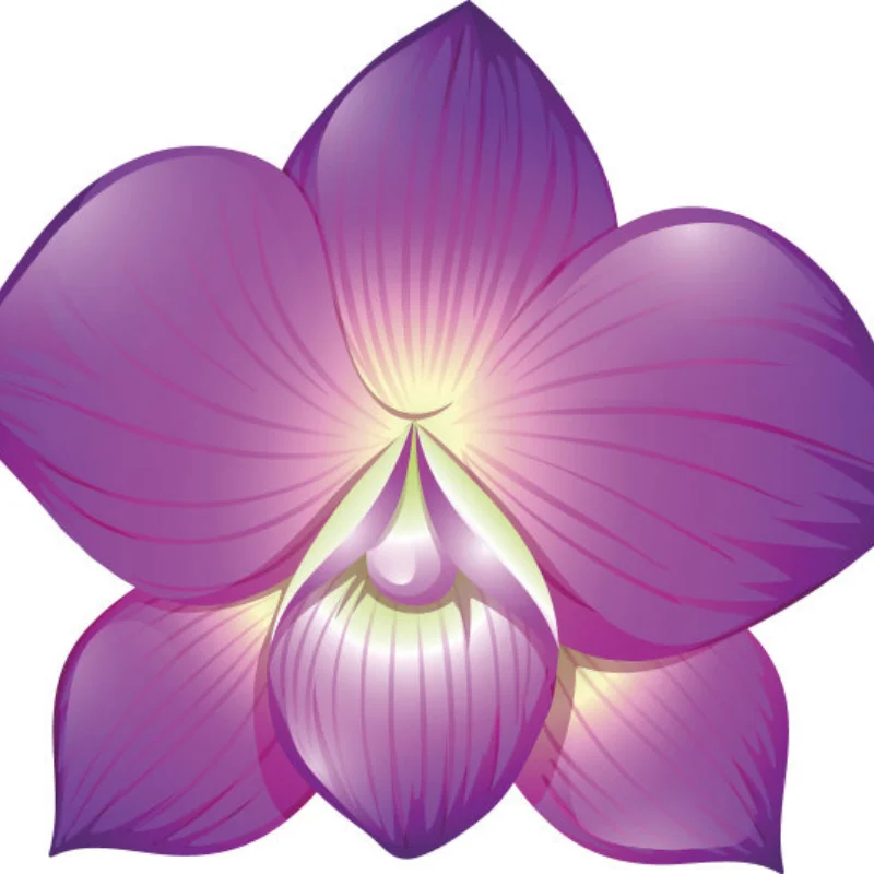 Metal Servo Mount 54587 for Tamiya GF01 WR02 G601 RC Car Upgrade Parts Accessories