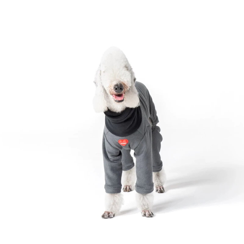 

Little Greyhound Dog Winter Thick Casual Bottoming Four-legged Sports Sweater Fleece Sweatshirt Warm High-Neck Contrast Coat