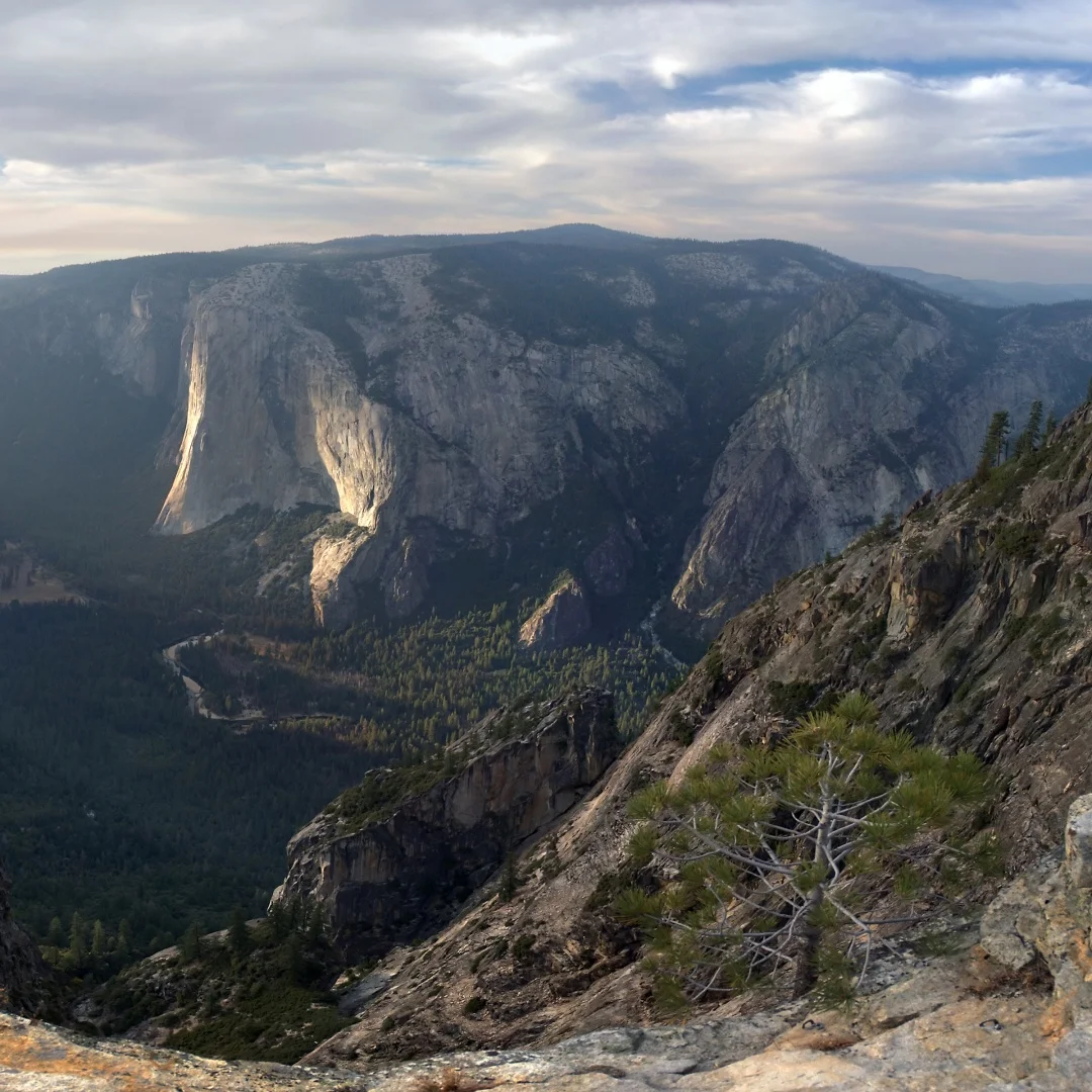 راديو أندرويد للسيارة جاكوار XJ X-TYPE S-TYPE 2004-2011 مشغل وسائط متعددة لاسلكي CarPlay بلوتوث شاشة تعمل باللمس وحدة الرأس