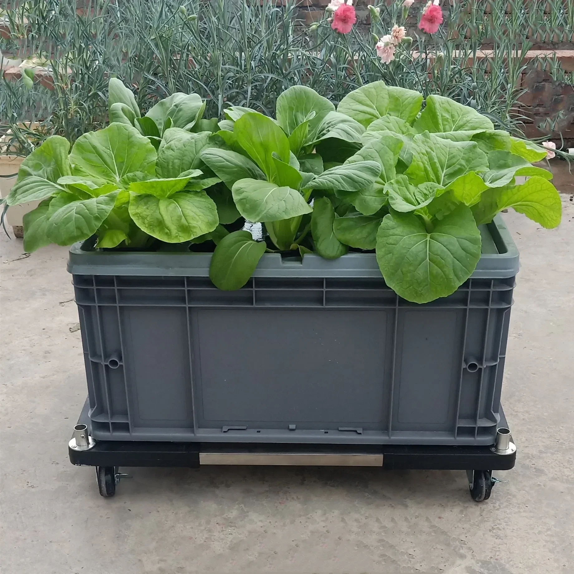 

Balcony Soilless Cultivation Vegetable Planter Hydroponic Equipment Household Vegetable Planting Melon Fruit Family Special