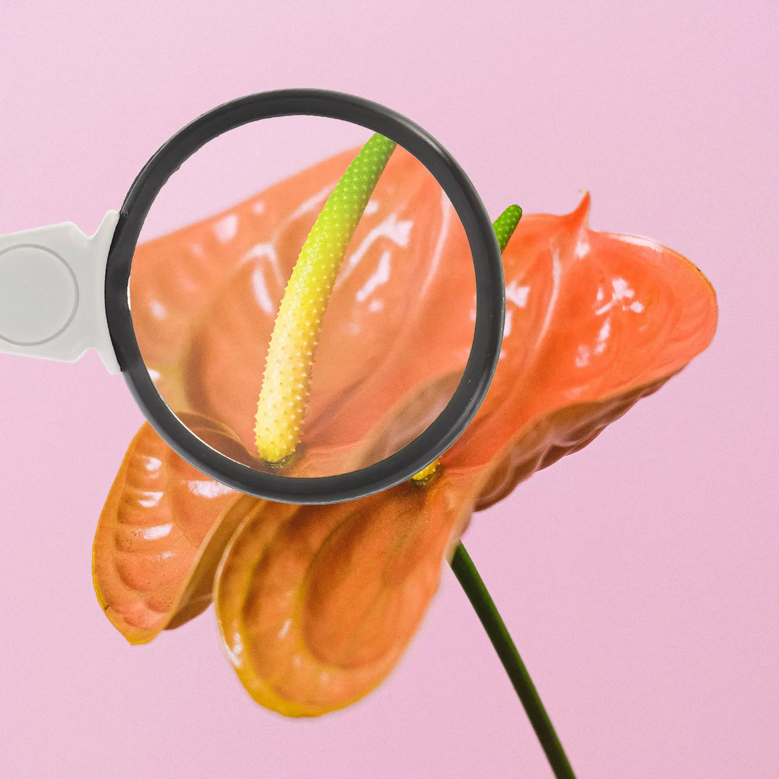 

Compact Hanging Loupe Necklace Magnifier Monocle Lens for Reading Collectibles Jewelry Repair Lightweight Practical Gift