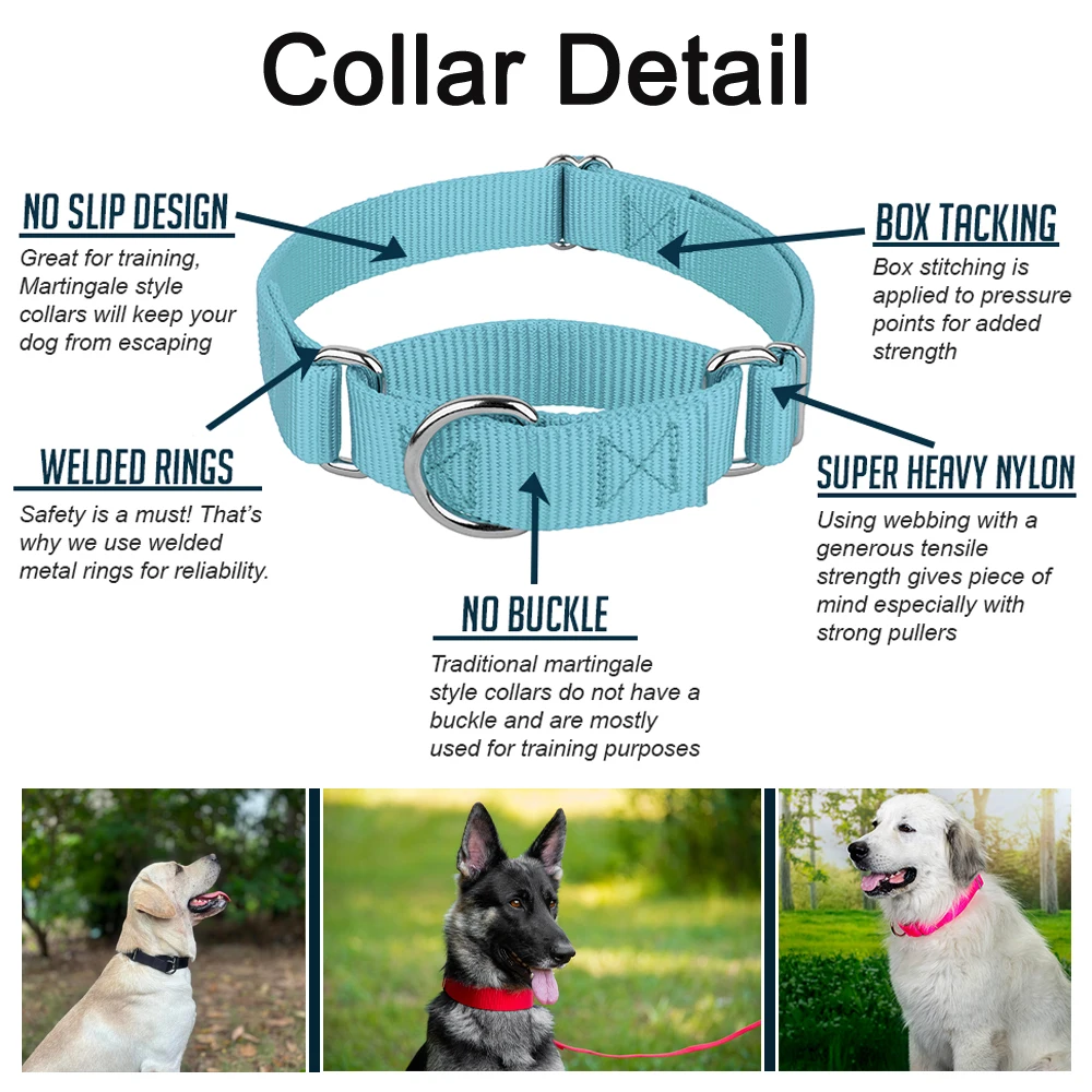 Martingale Heavy Duty Nylon Dog Collar Adjustable Control Pet Training Collar for Small Medium Large Dogs Pet Accessories