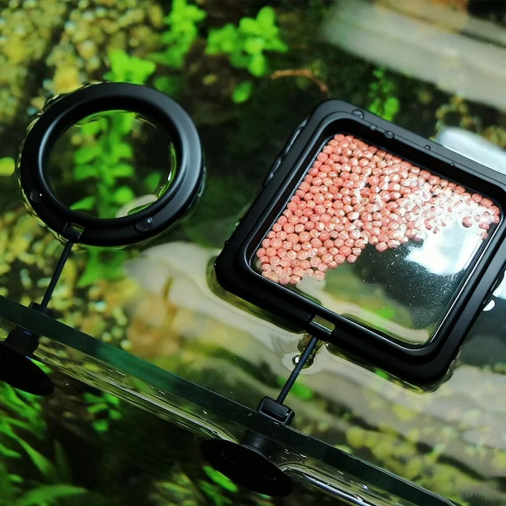 Кольцо для кормления аквариумн – обзор и цена Aquarium Fish Medicine