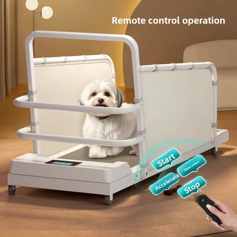 Electric Pet Treadmill for Cats & Dogs-Small to Medium-Sized Breeds Bichon Frise Teddy Corgi-Walking Machine Exercise Programs