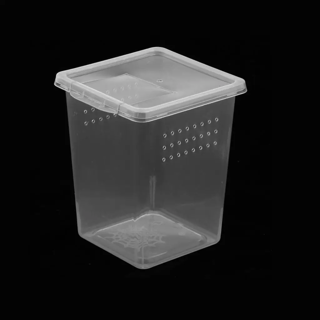 Plastic Insect Habitat Feeding Box Case Container Tank Transport Case Hatching Tank Reptile Tank Habitat Case