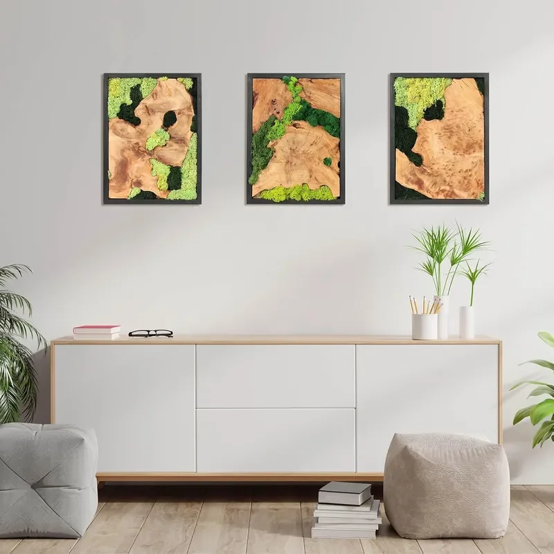 Natural Preserved Moss Wall Art Natural moss wood Handcrafted Rustic Charm for Your Home Unique Wall Hanging for Living Room