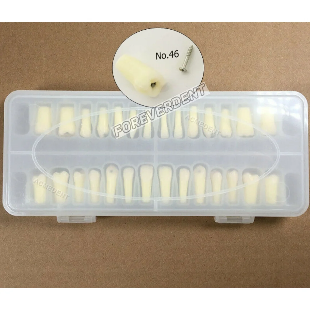 28Positions Dental Caries Remove Decayed Teeth Practise Cuspid Model Decay Screws 28Sizes Teaching Model Study