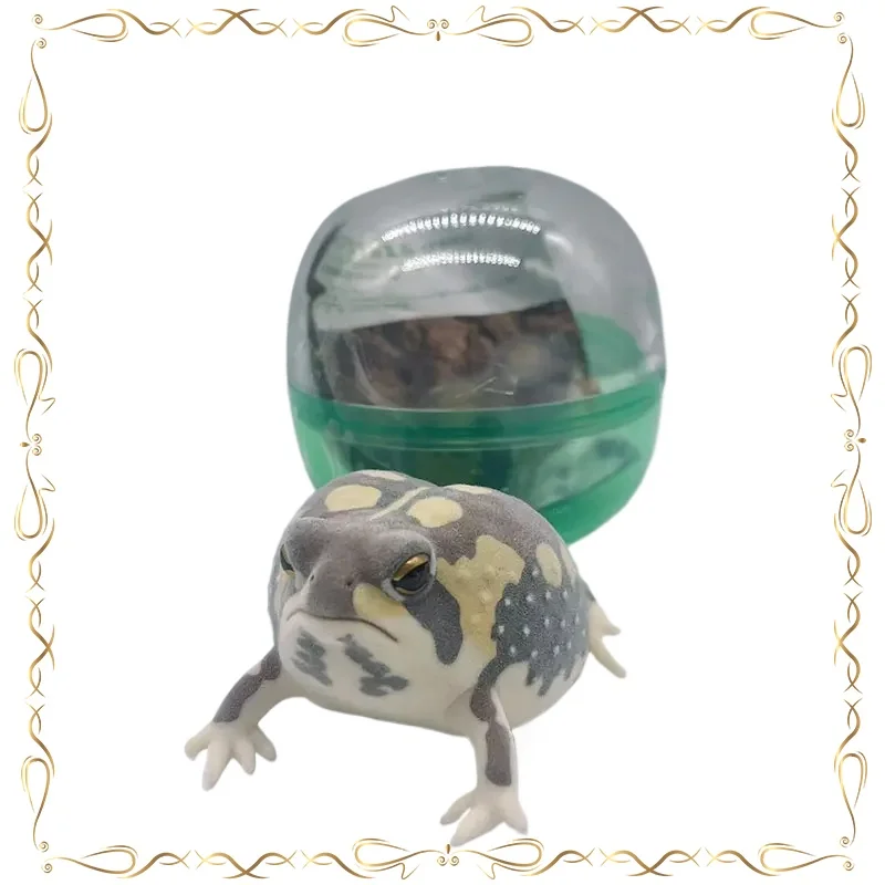 

Gashapon Flocking Breviceps Adspersus Kawaii Collection Ornament Action Figure Model Toys