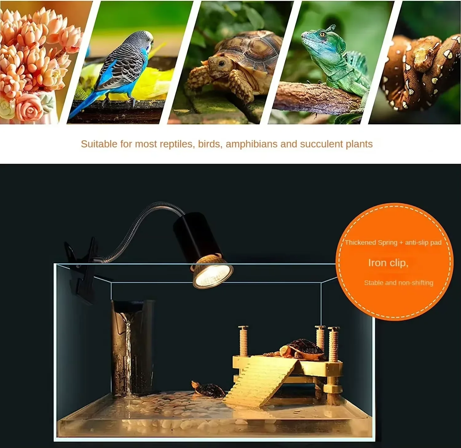 Thumbnail 3 - #22 Cheap Reptile Heat Lamps Worth Buying