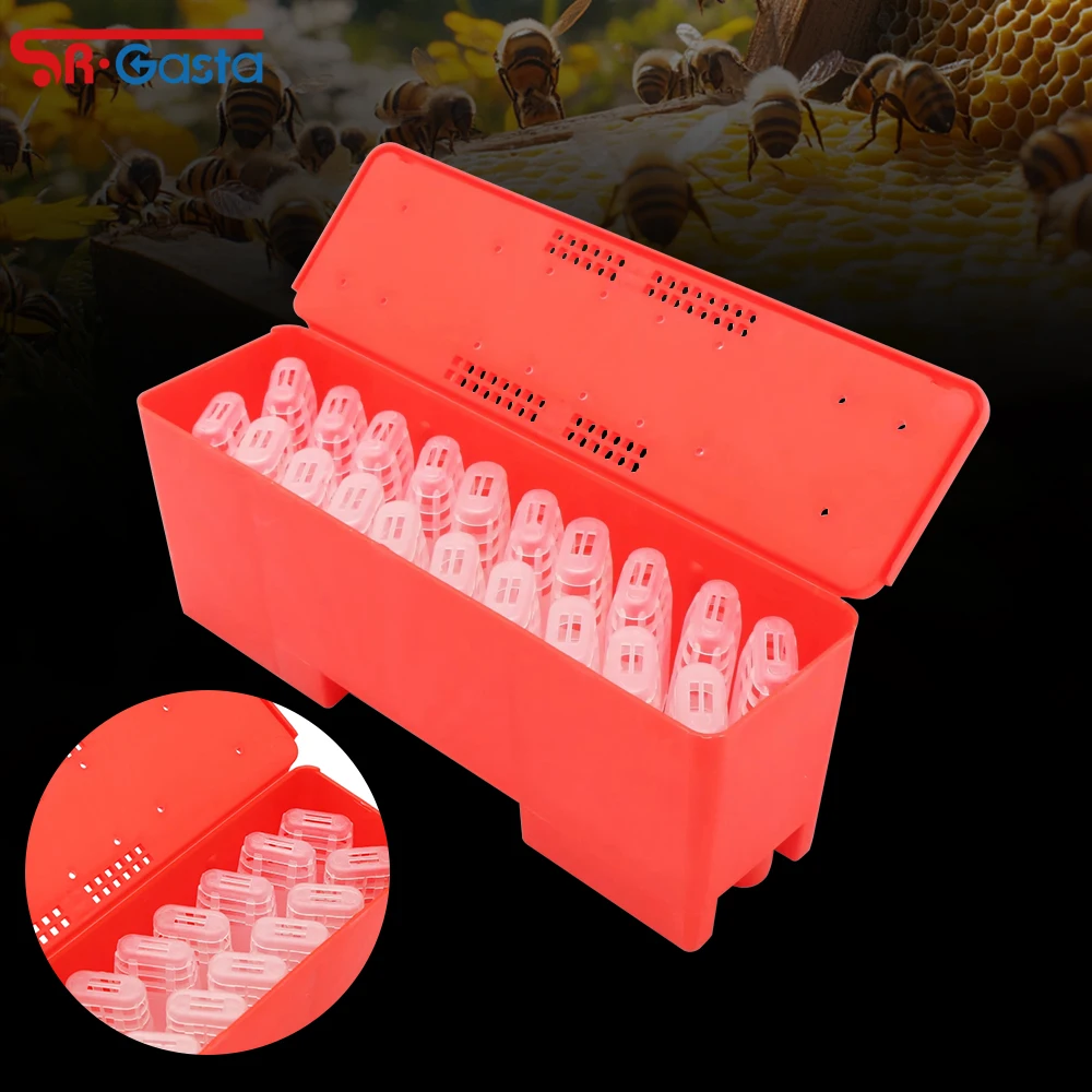 1Pc Queen Bee Transport Box and 20Pcs Queen Bee Transport Cages Rearing Cup Kit Plastic Incubator Beekeeping Tool