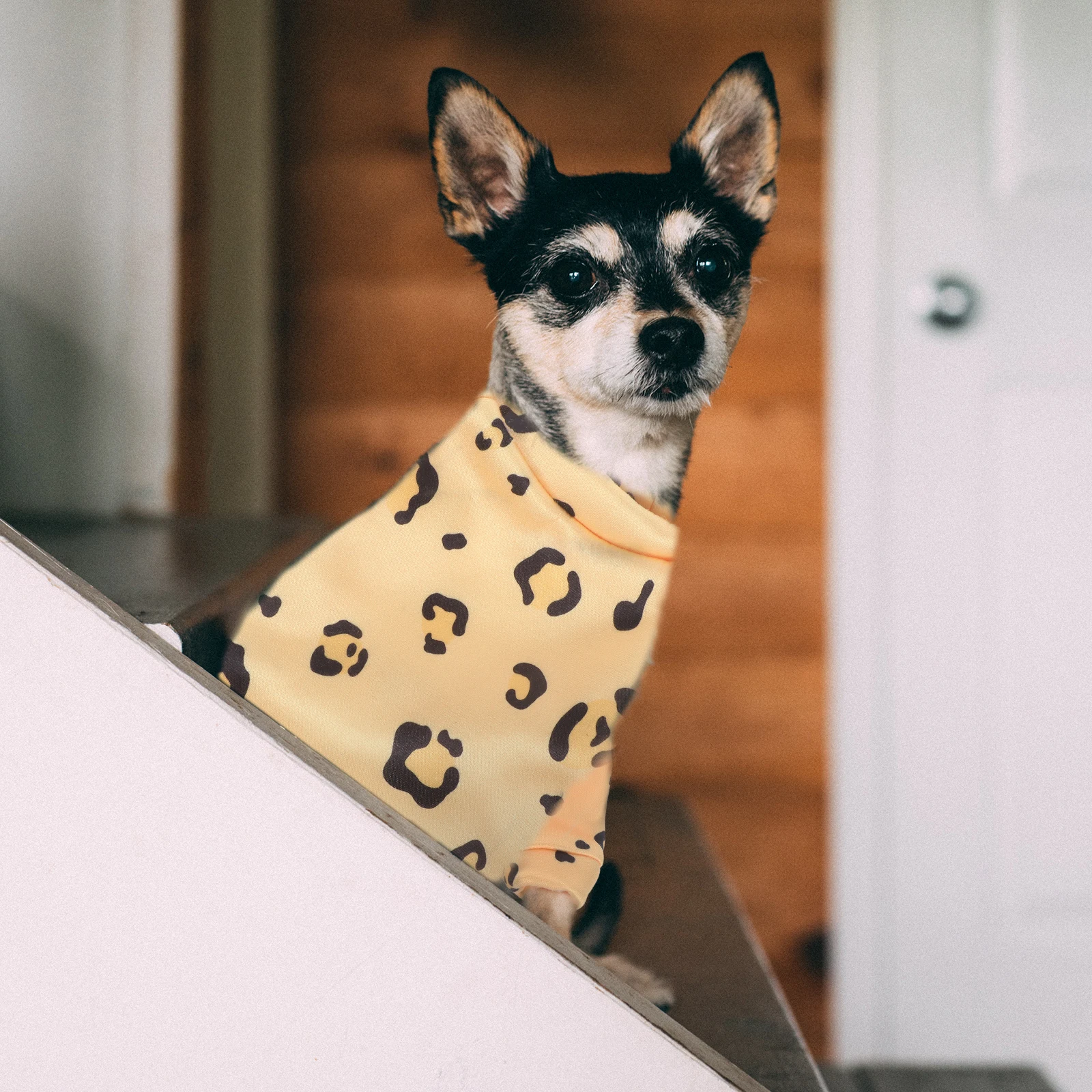 

Coat Padded Dogs Pet Hooded Small Clothes Clothing Outfit Puppy Winter Breathable