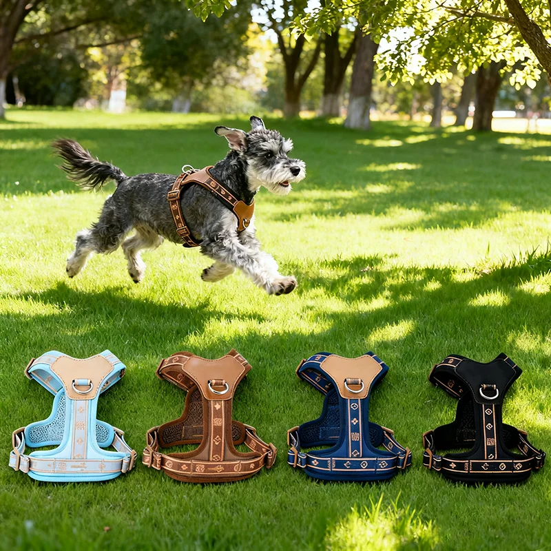 حزام صدر للكلاب قابل للتعديل يسمح بمرور الهواء مع شريط عاكس لجر الحيوانات الأليفة مناسب لأشرطة صدر الكلاب الصغيرة والمتوسطة الحجم #1