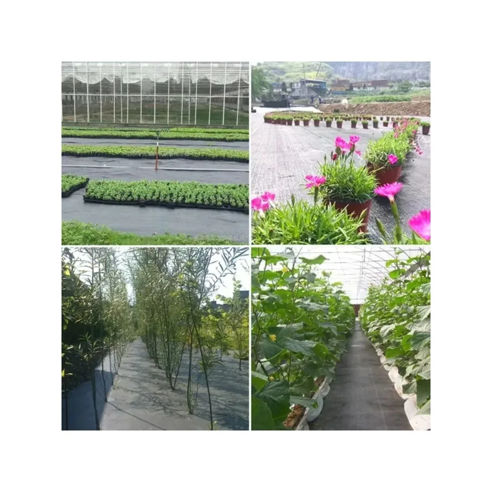 Oriented Weed Barrier Mat Black Plastic Mulch Thicker Orchard Garden Control FabricAgricultural Anti Grass Cloth Farm