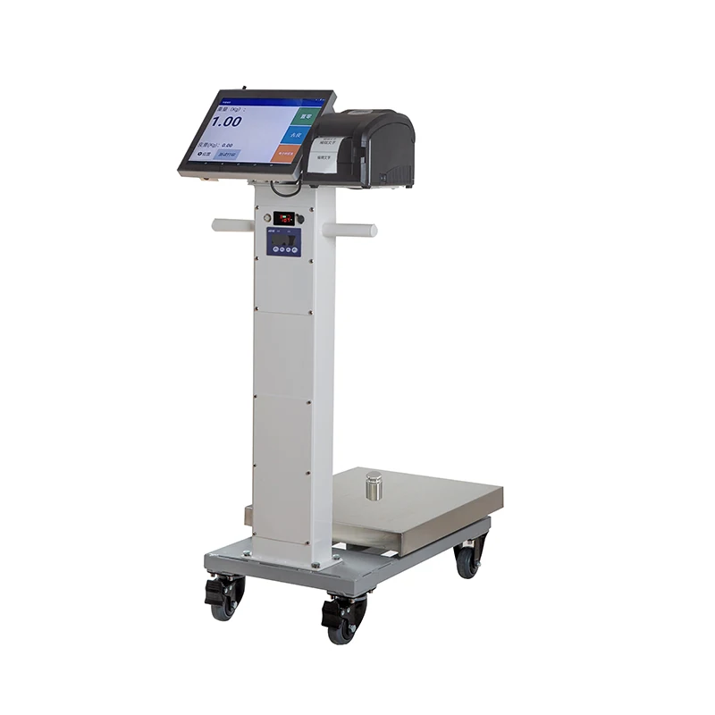 

SOHE Y15W Mobile up to 300kg Move Computer Touch Screen with Software System Smart Scale