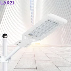 LED Street Light 100W Waterproof IP65 Outdoor Floodlight AC110V 220V Spotlight Garden Road Street Pathway Pole Lights Wall Light
