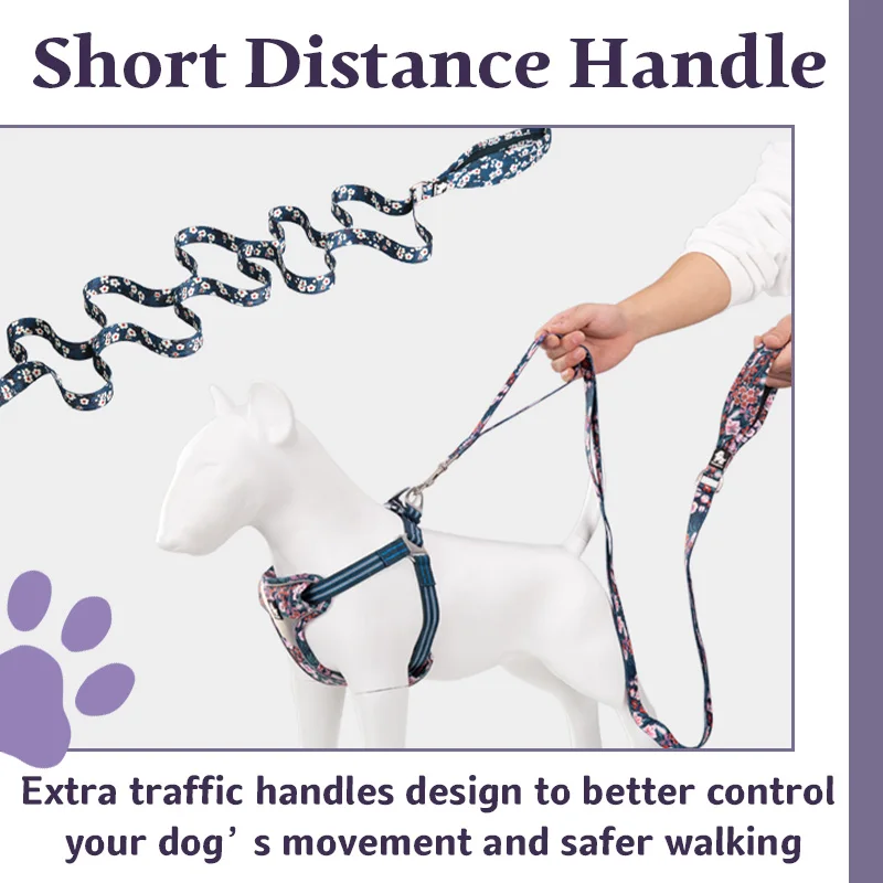 Truelove Nylon Dog Leash Belt Pattern Double Handle Padded For Running Print Training Leash Lead For Big Small Dog Heavy Duty