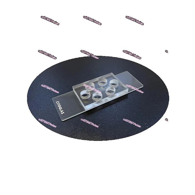 

Microfluidic cell migration nerve cell axon, blood-brain barrier organ chip, multi-layer co-culture