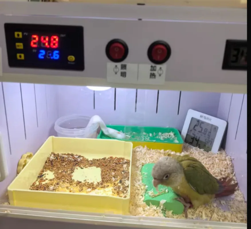 

Special Constant Temperature Feeding Box For Young Birds, Spring And Summer Cage For Young Birds, PVC Waterproof Climbing