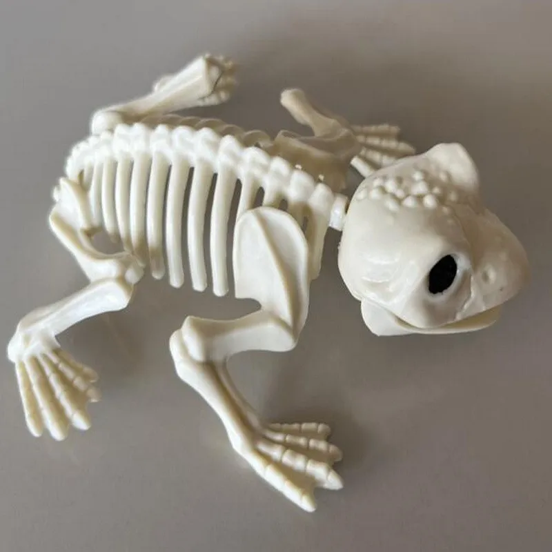 جديد تجهيزات حفلة الهالوين الضفدع الهيكل العظمي الدعائم زينة محاكاة ساخرة الضفدع الهيكل العظمي نماذج للحيوانات اكسسوارات سطح المكتب الحلي