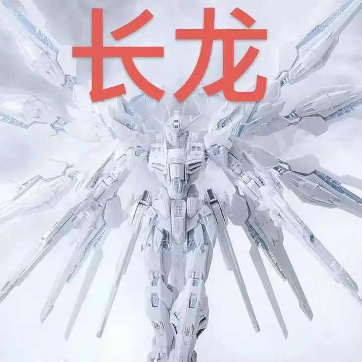 

В наличии: Сборная модель CHANGLONG Twilight White Twilight Coating Strike Freedom MGEX MG 1/100, последняя версия, шарнирная модель