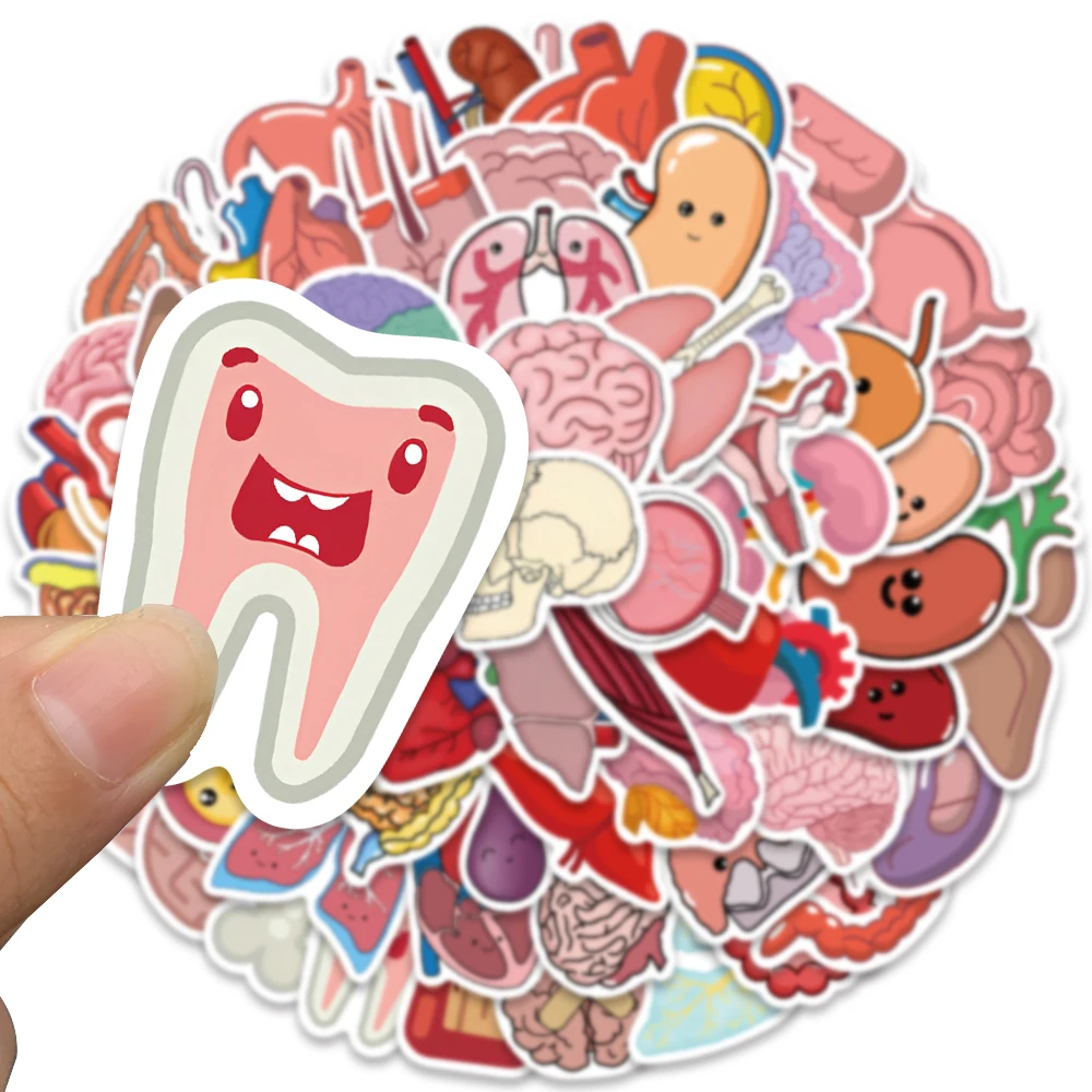 65PCS Cartoon Human Organ Cute Medical Anatomy Sticker Laptop Bicycle Guitar Phone Kid Toy DIY Graffiti Waterproof Stickers