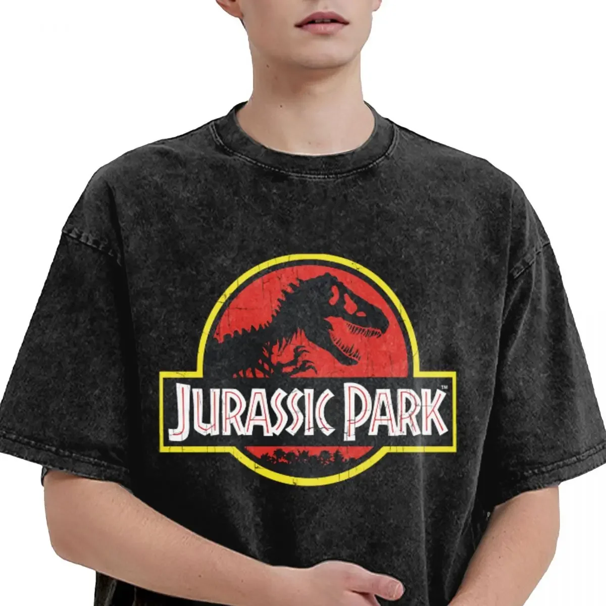 Jurassic Park Washed T Shirt Streetwear Hip Hop Vintage T-Shirt Tees Men Women Cotton Harajuku Graphic