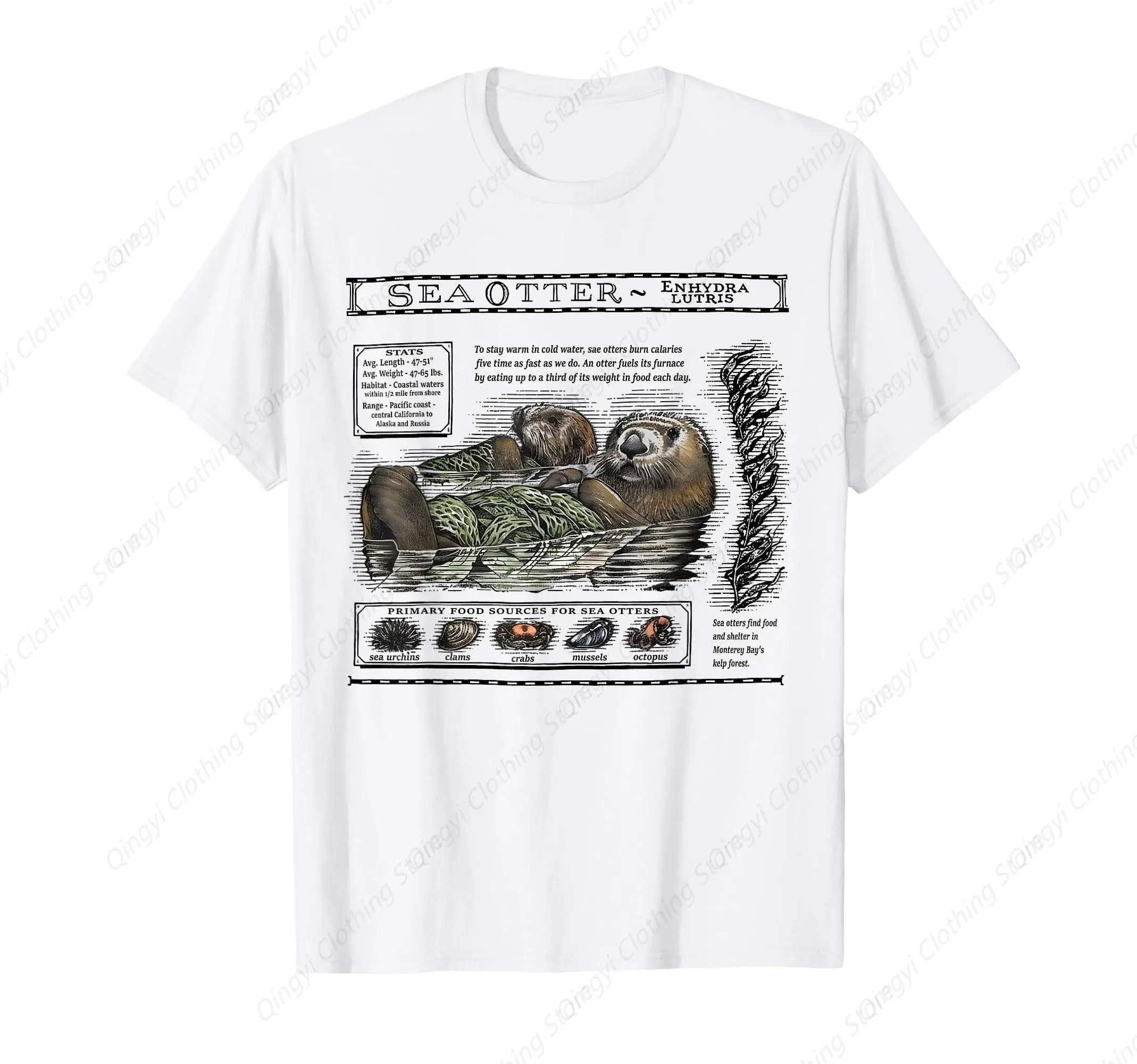 تي شيرت كاجوال وممتع بفتحة البحر #1