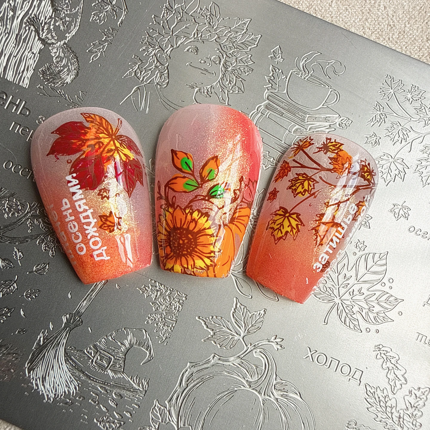 XMQ NAIL ART STAMPING PLATTEN HERBST-MOTIVPLATTE BLATT-SCHABLONEN NÜSSE – Detail 3