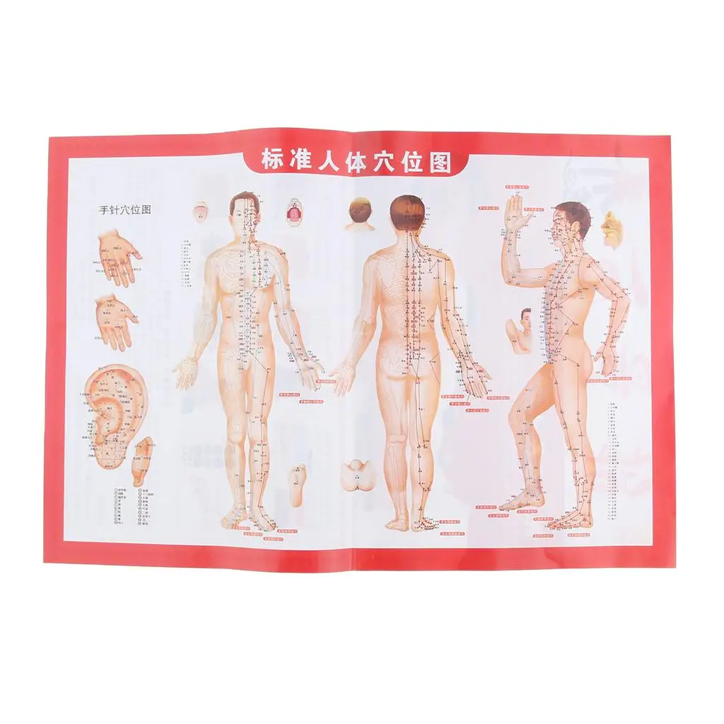 Automatischer Steinmassage-Wärmer Hochwertiger Tragbarer Heizapparat SPA-Set für Heiße Steine Elektrischer Massagegerät und Entspannung