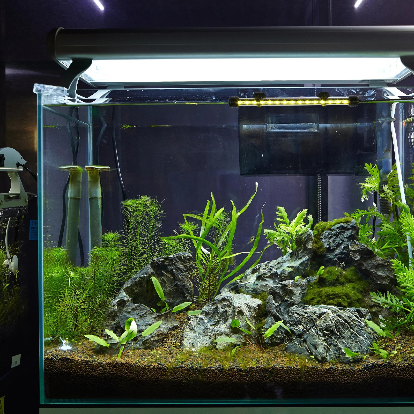 Luce per acquario a LED Lampada per acquario in acrilico durevole Dispositivo di illuminazione impermeabile sommergibile Luce a LED per acquario facile da installare