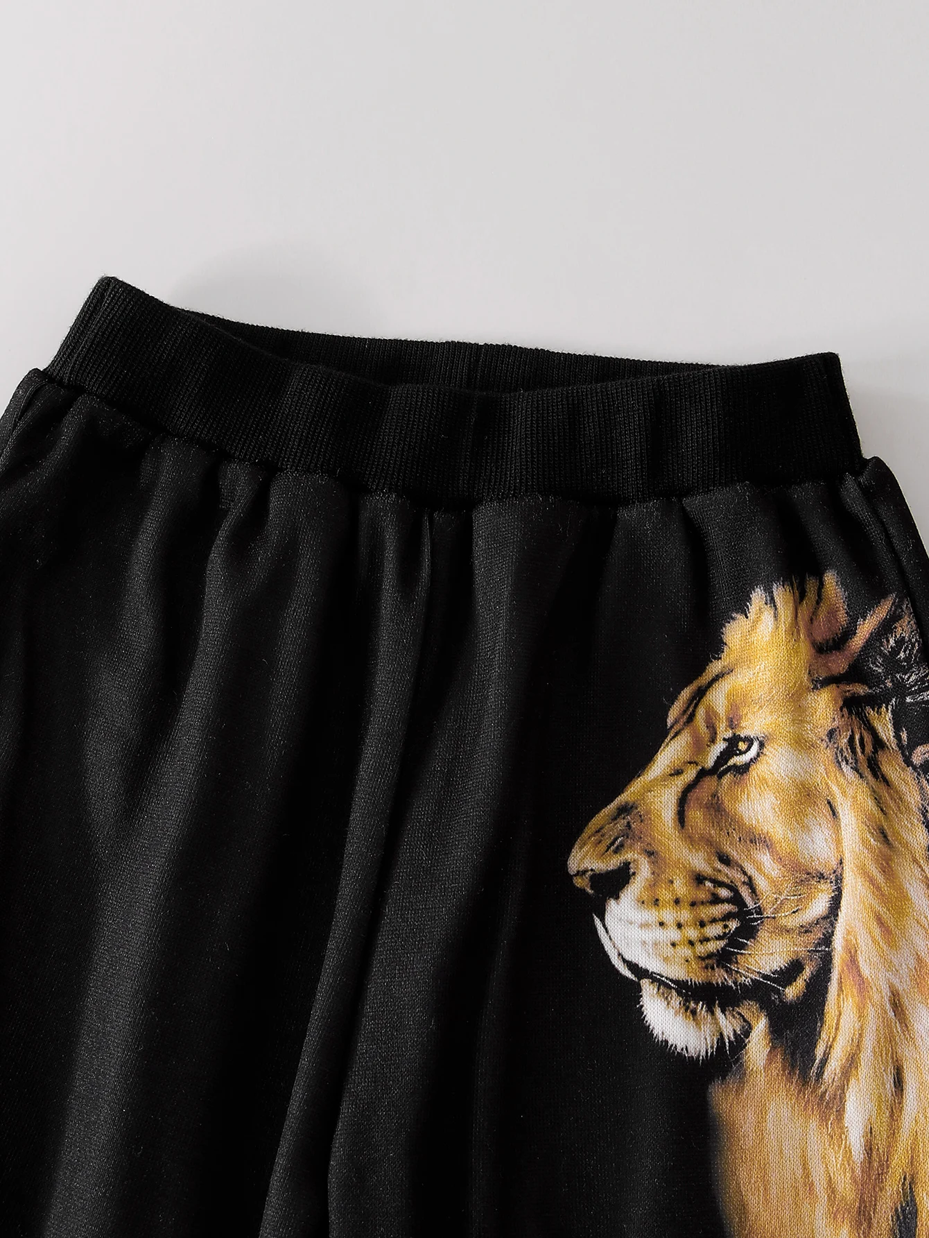 Set da due pezzi con stampa leone casual autunno inverno da ragazzo, abbigliamento comodo e alla moda per bambini