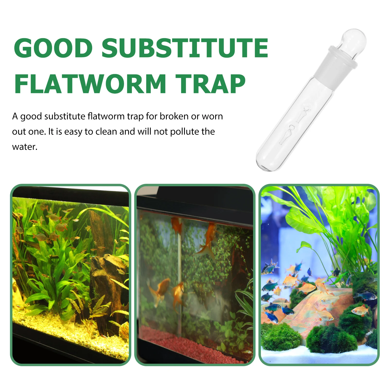 

Glass Flatworm Catcher Transparent Planaria Trap Easy Use Safe Fish Tank Flatworm Remover Aquarium Supplies Aquarium Snail Trap
