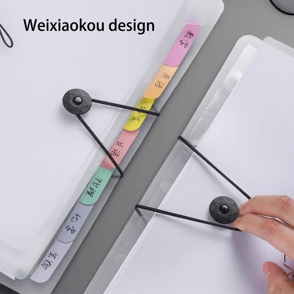 Creative Waterproof A4 File Folder 5/8/12 Pockets Large Capacity Test Paper Storage Folder PP Envelope Folder