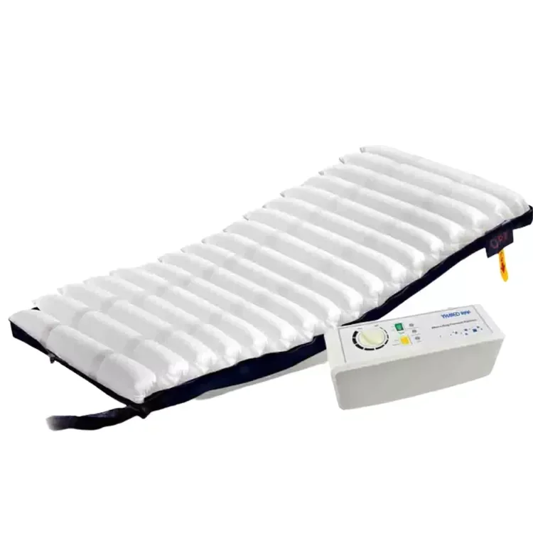 Professional Anti-Bedsore Alternating Patient Medical Inflatable Air Bed Mattress With Pump