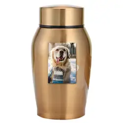 Pet Ashes Urn | Stainless Steel Urns For Keepsake Multi-colored Ashes Urn Se-aled Funeral For Dogs Pet Souvenir Jar 2022 New