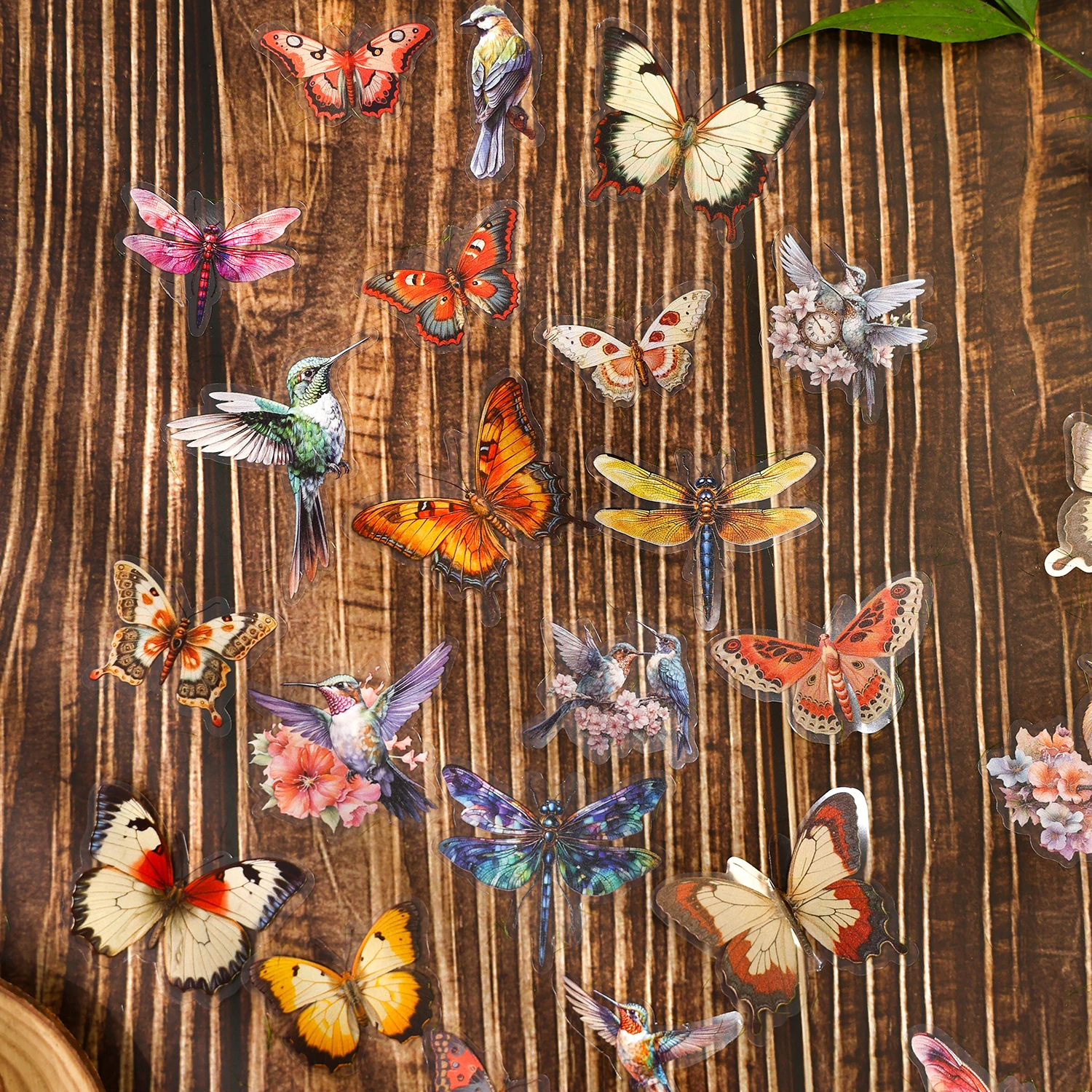 40 Stück Schmetterlings-Libellenfedern, PET-Material, dekorative Aufkleber, Tagebuch, Album, Scrapbooking-Material, Junk Journal Supplies