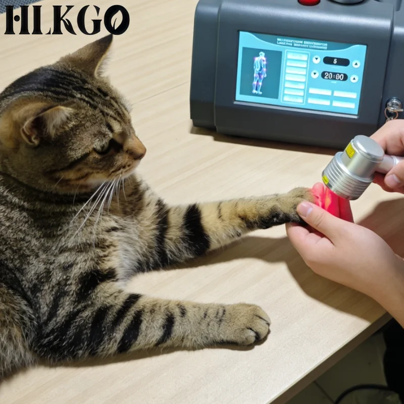 

Антиالتهابный и противоотечный лазер, 650 нм 808 нм, терапия холодным светом LLLT для людей и животных