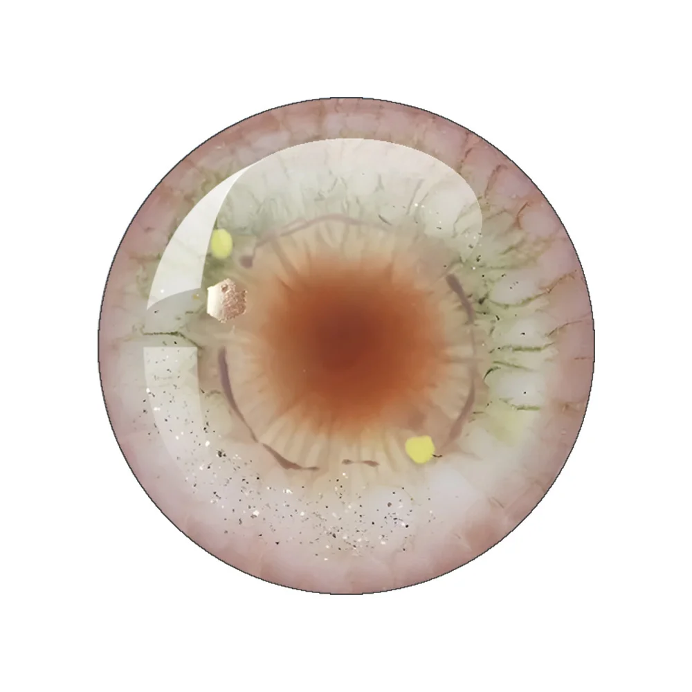 Blyth DOLL Eye Chips Part4 Round Cabochon 10MM-40MM Handmade Girl Toy Drop Glue Eye Pupil DIY Blyth BJD Doll Accessory Gift view 5