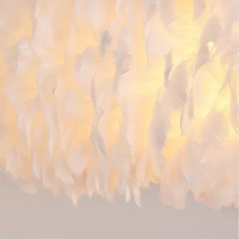 Led Feather 2025 No…