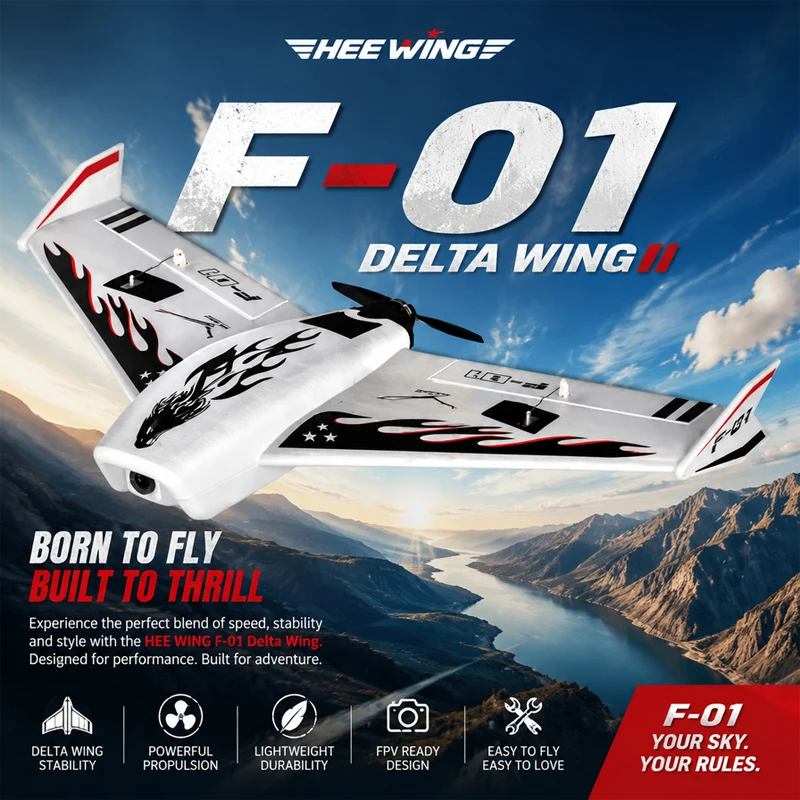HEE WING RC F-01 ULTRA DELTA WING 690MM EPP RC AIRPLANE-PNP PRO For Adults