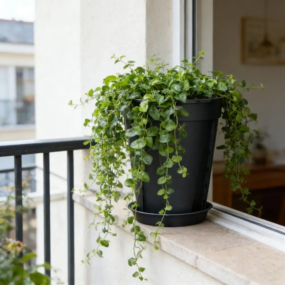 Breathable Flowerpot Orchid Pot with Saucer Drainage Holes Flowerpot with Side Ventilation Slots Indoor Outdoor for Phalaenopsis