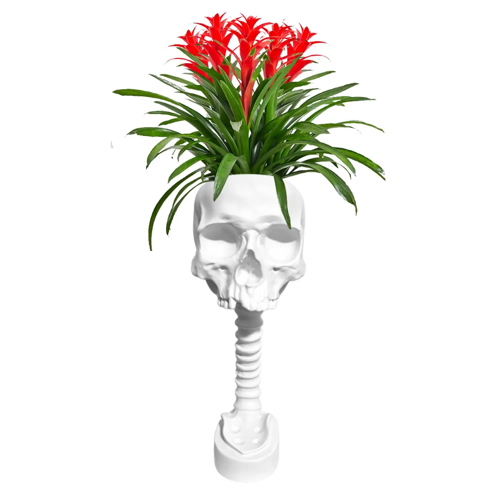 Skull Flowerpot Gothic Skull Planters Halloween Resin Statue Table Centerpiece Skull Planter Container for Bookshelf Terrace