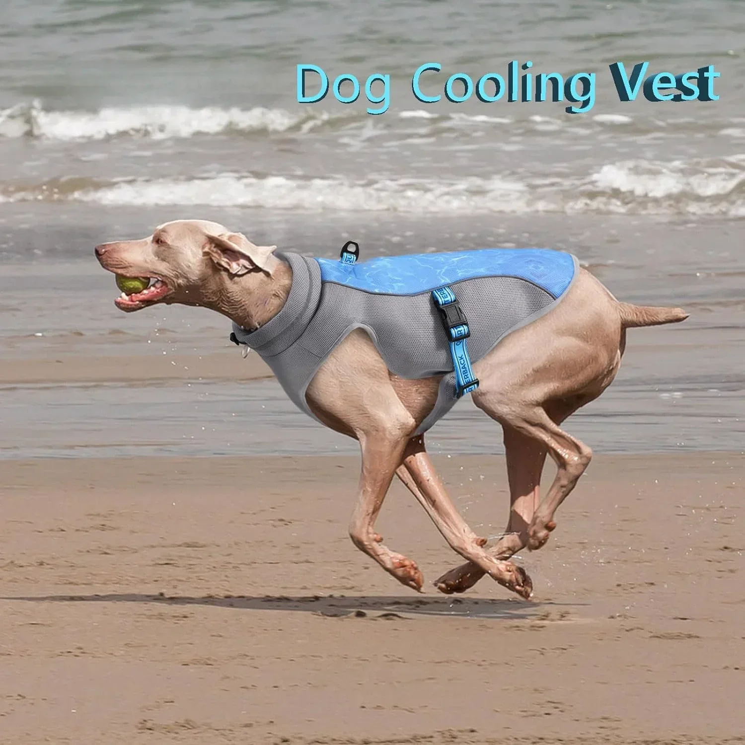 Dog Cooling Vest Lightweight Cooling Jacket Anti-UV Shirt Suitable for Beach Breathable Cooling Harnes Outdoor Summer Dog Clothe