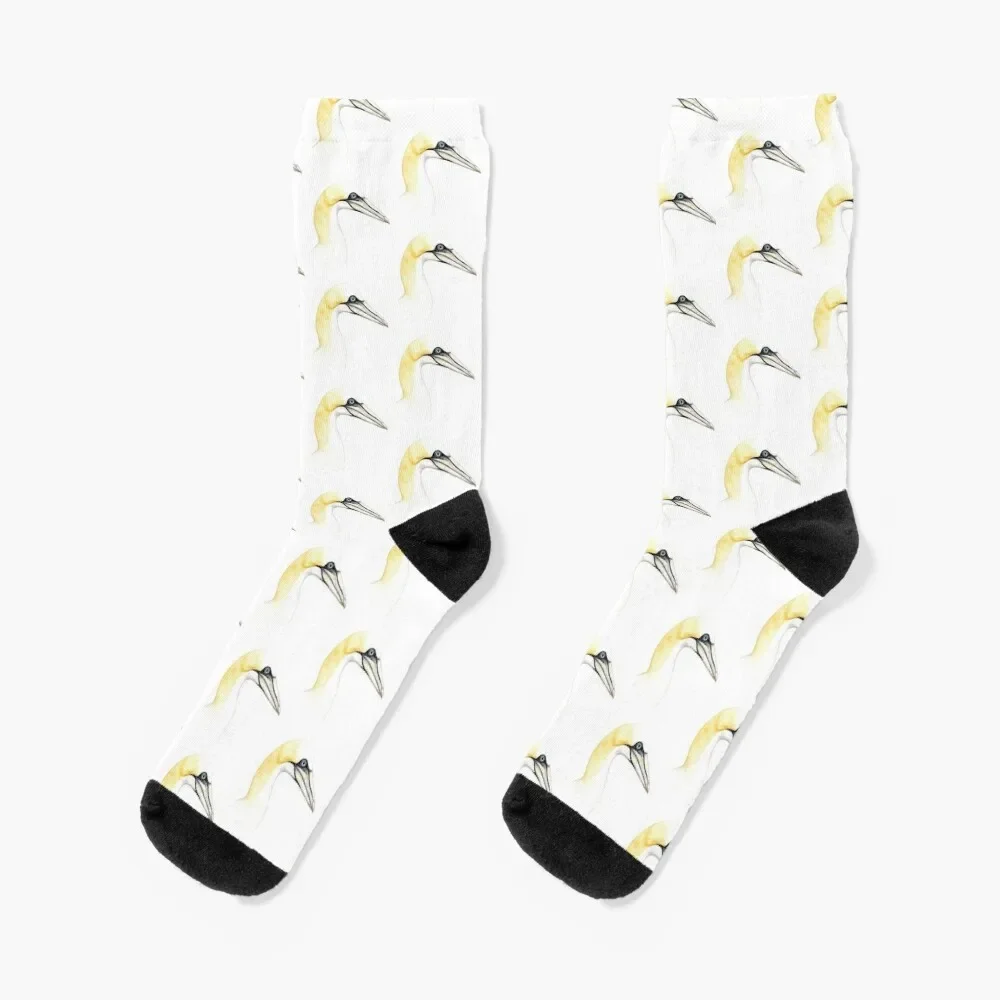 

Northern Gannet Socks colored snow Women Socks Men's