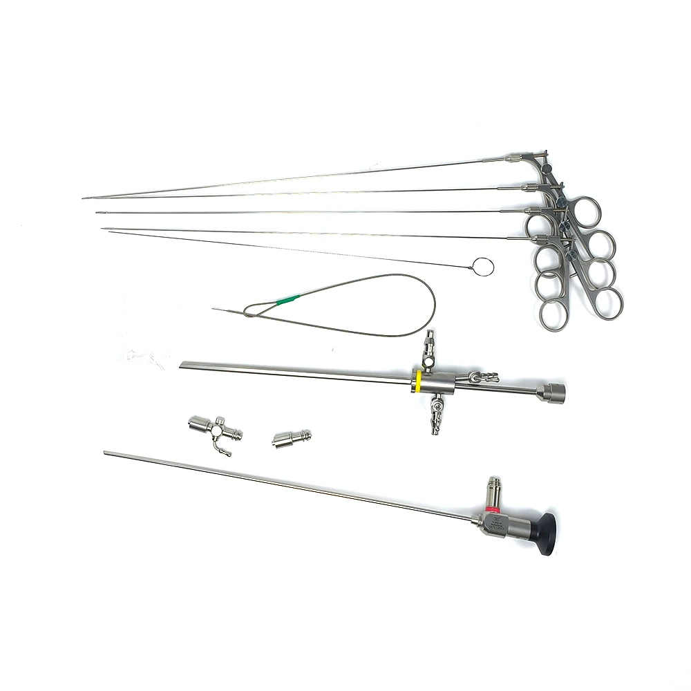 2026 NEW Camjoy Factory Direct Sales 2.9mm 3mm 4mm Rigid Hysteroscope Gynecology Endoscope KARL STOZ Compatible Sheath