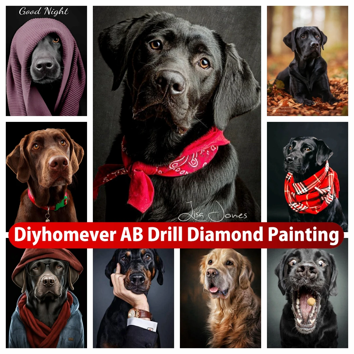 

Labrador Retriever 5D DIY AB Diamond Painting Mosaic Cute Dog Animal Art Cross Stitch Rhinestones Handmade Embroidery Home Decor