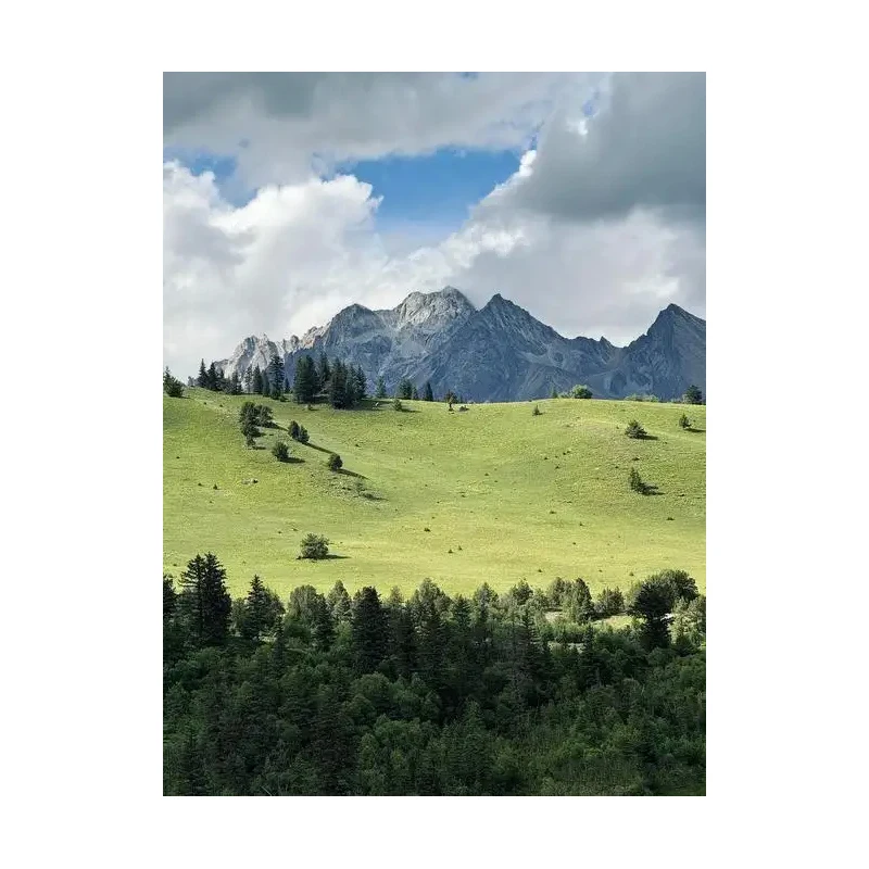 

20Pcs Long Black Bubble Mailer Matte Bubble Packaging Envelope Padded Envelope Postal Bag For Long Packaging Bubble Envelope