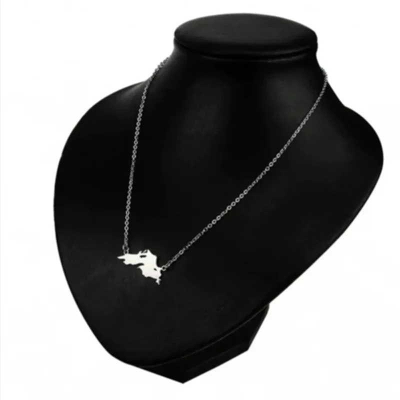 collar-con-colgante-de-acero-inoxidable-superior-con-mapa-del-lago-de-europa-y-estados-unidos-con-un-amigo-de-regalo