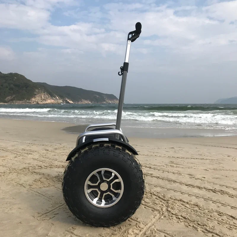 19 inch fat tire electric scooter  chariot 3000w two wheels stock