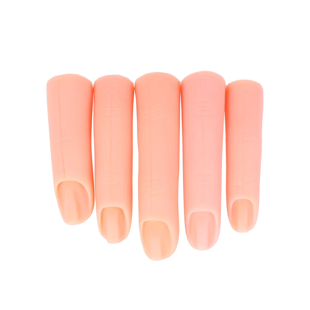 

Nail Art Practice Finger Mold Durable Manicure Training Tool Nail Art Practice False Fingers for Beginners and Salon Artists